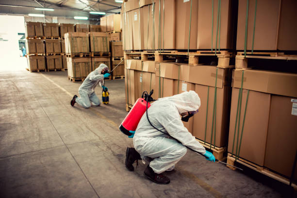 Wasp Removal Services in Mill Neck, NY