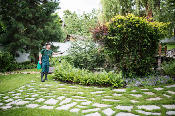 Best Residential Pest Control  in Mill Neck, NY