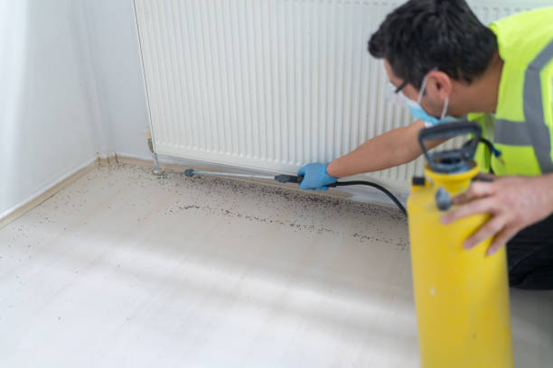 Pest Control for Restaurants in Mill Neck, NY